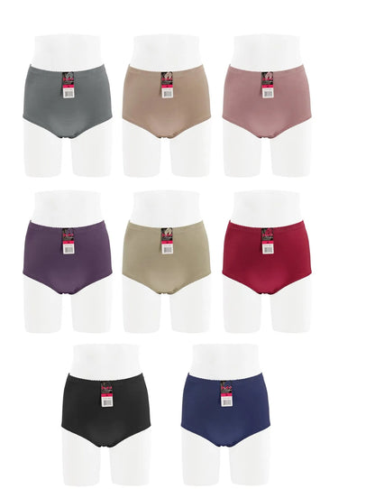 Coco Secret Women Satin High Waist Light Tummy Control Full Coverage Brief Panty 6 PACK